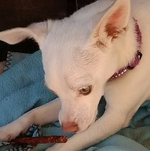 Meet your Posher, Iris